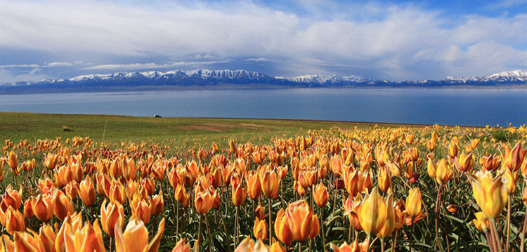 Stadt Bole: Start der Seidenstra?enrallye 2016