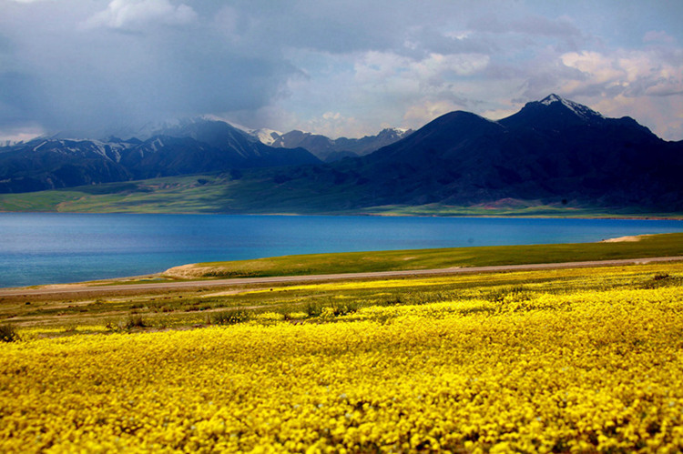 Stadt Bole: Start der Seidenstra?enrallye 2016