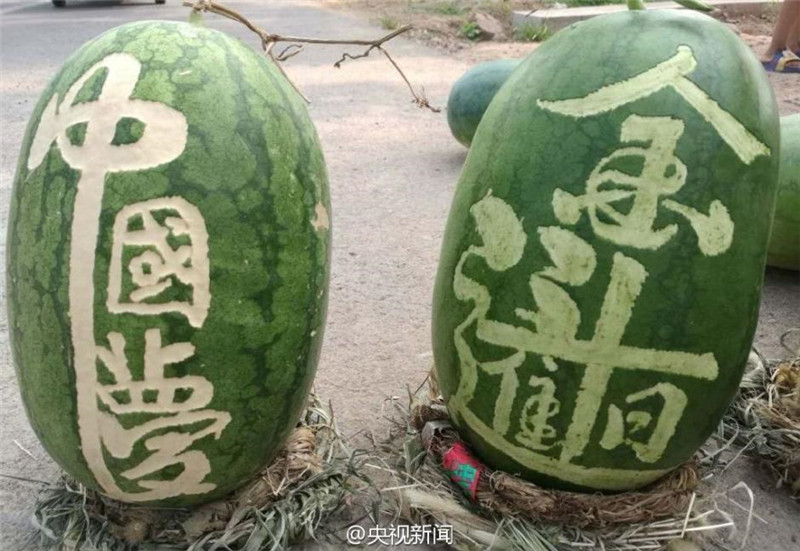 Drei Tonnen Wassermelonen mit chinesischen Schriftzeichen gehen weg wie warme Semmeln