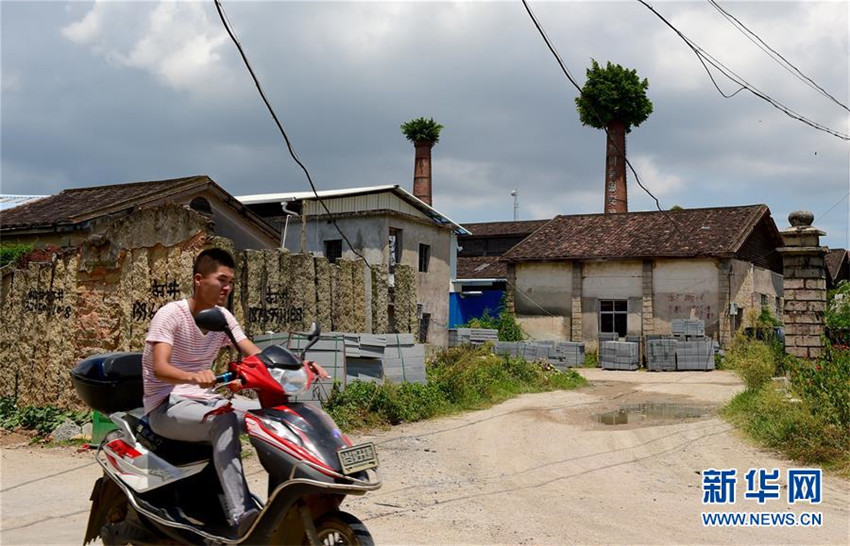 Die Schornsteine tragen grüne Hüte