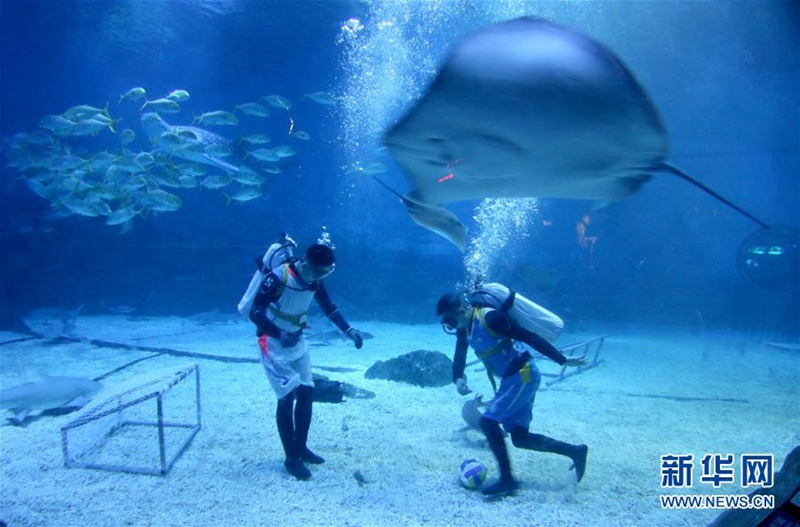 ?Olympische Unterwasser-Spiele“ in Yantai