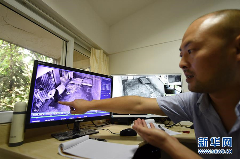 Debüt der Pandazwillinge im Chongqinger Zoo