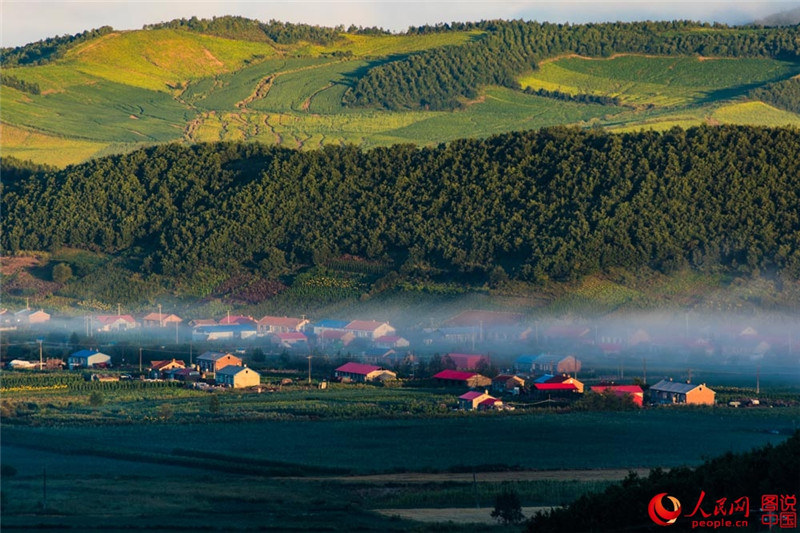 Schwarzerdefelder in Nordostchina