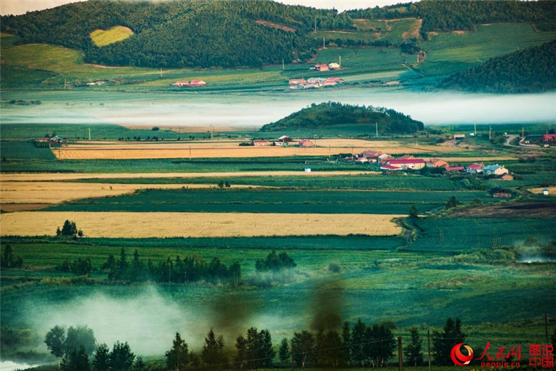 Schwarzerdefelder in Nordostchina