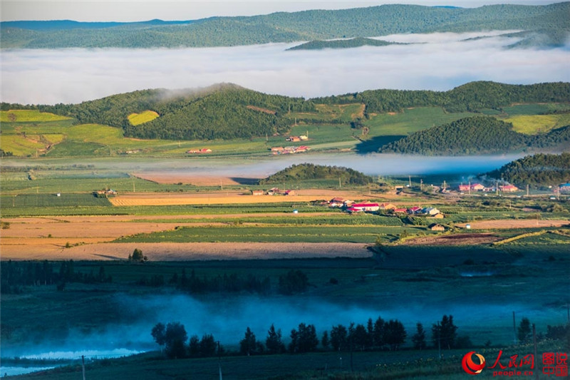 Schwarzerdefelder in Nordostchina