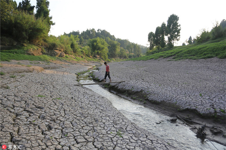 Dürre in Chongqing l?sst Flussbett austrocknen