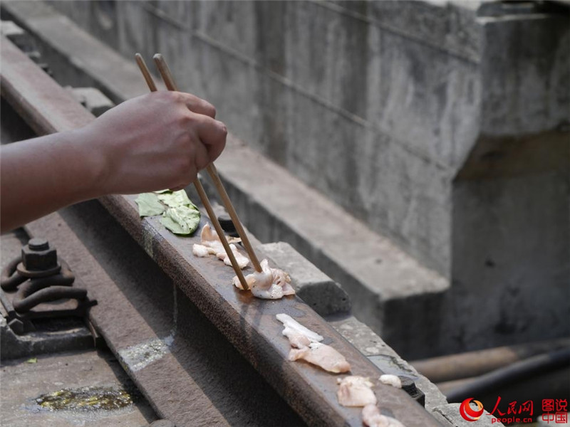 ?ffentlicher Schienenverzehr – Grillen auf hei?en Gleisen