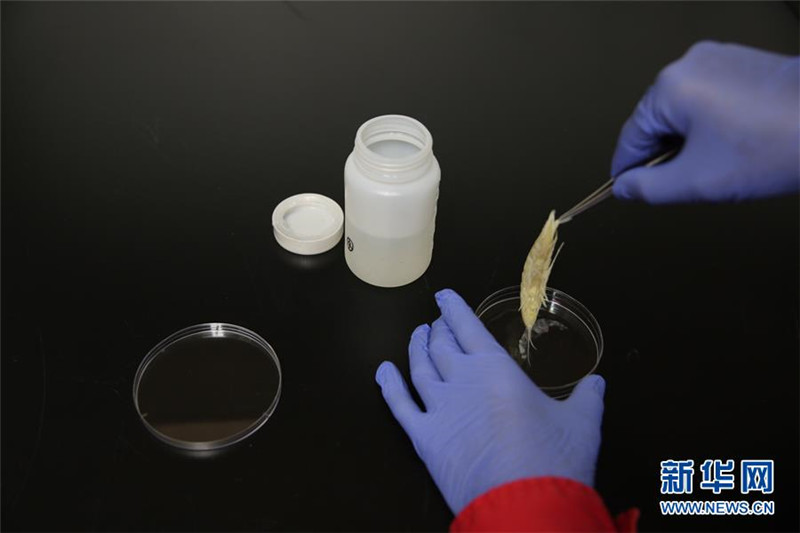 China l?sst tief blicken – Tiefseeforschung im Marianengraben