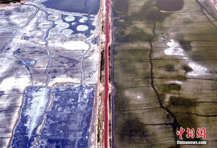 Die vielen Farben des herbstlichen Yanhu-Sees aus der Vogelperspektive