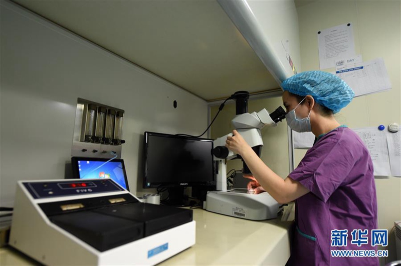 Tag der offenen Tür im ?Retortenbaby“-Labor Chongqing