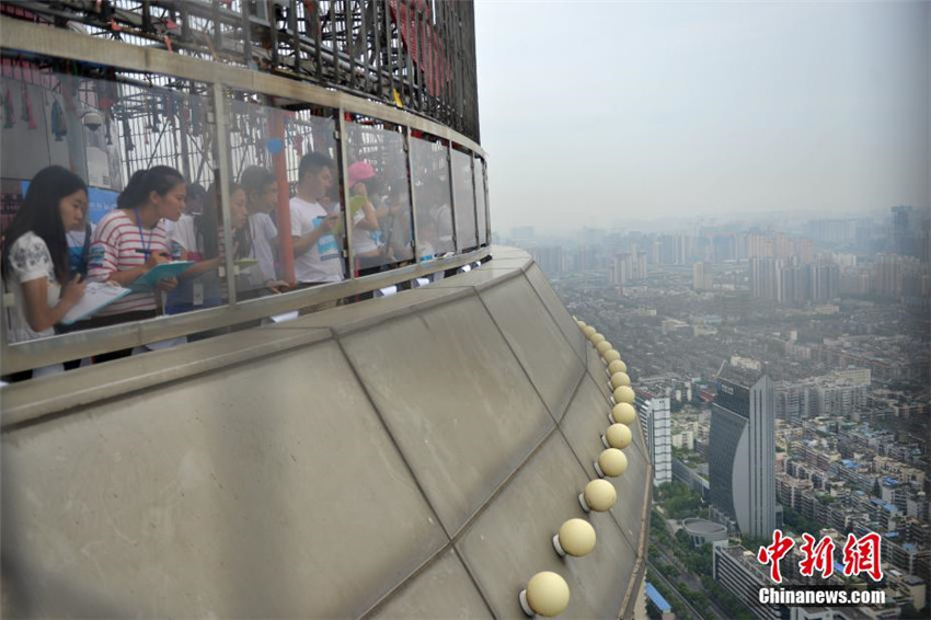 Scharfe Augen in luftiger H?he