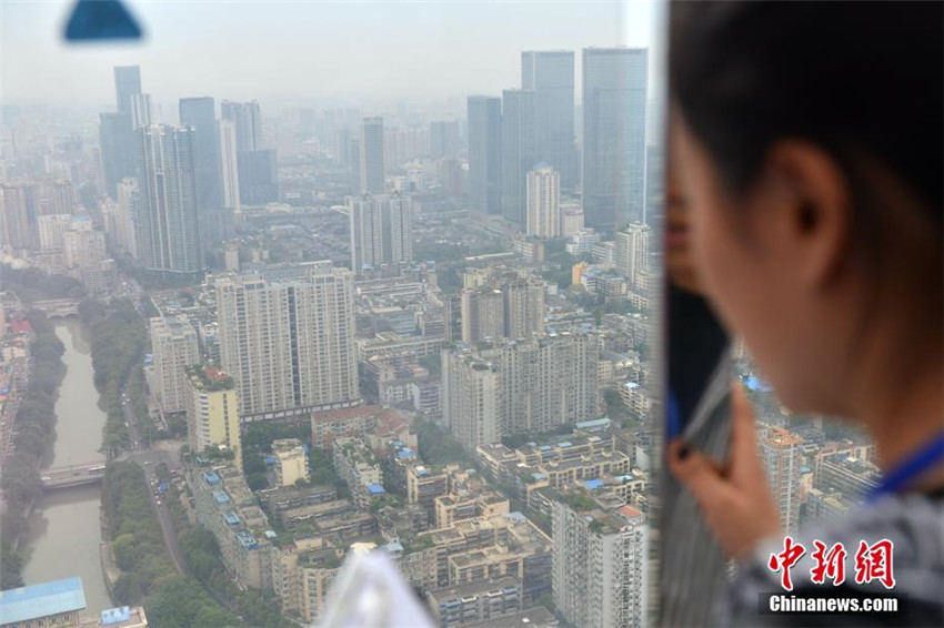 Scharfe Augen in luftiger H?he