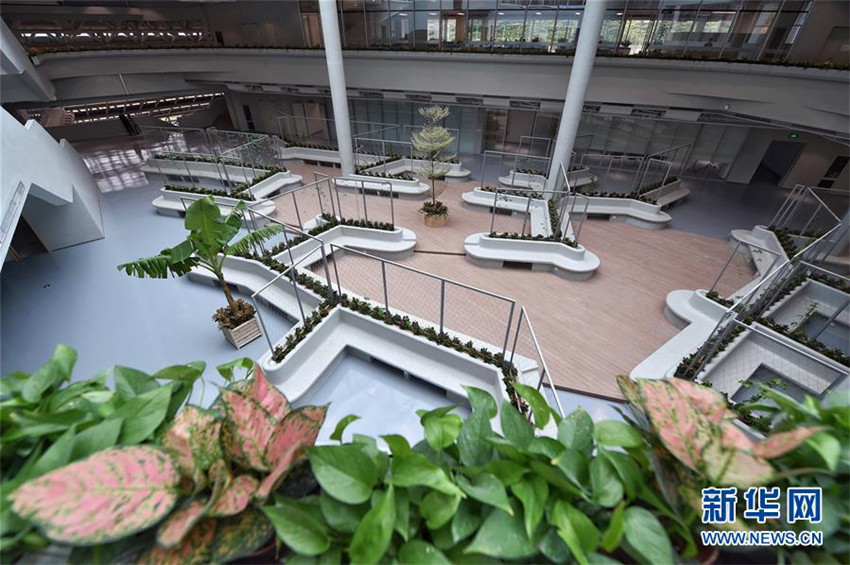 Chinas nationale Genbank bald in Betrieb