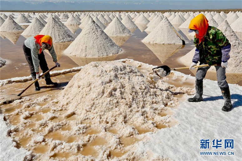 Die Salzg?rten von Gansu