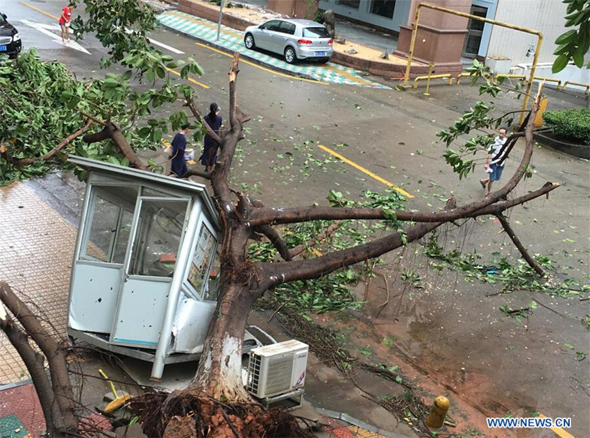 Taifun Meranti erreicht Ostchina