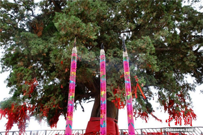 Nah am Wasser gepflanzt – über 4000-j?hrige Zypresse in Shanxi