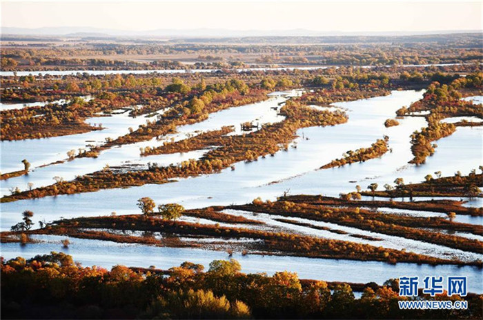 Das fantastische Feuchtgebiet Zhenbao-Insel aus der Vogelperspektive