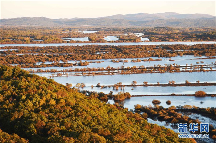 Das fantastische Feuchtgebiet Zhenbao-Insel aus der Vogelperspektive