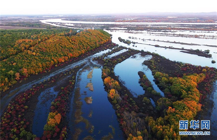 Das fantastische Feuchtgebiet Zhenbao-Insel aus der Vogelperspektive