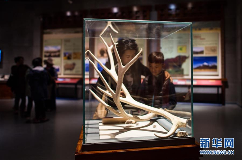 Erstes Museum der Naturwissenschaften in Tibet