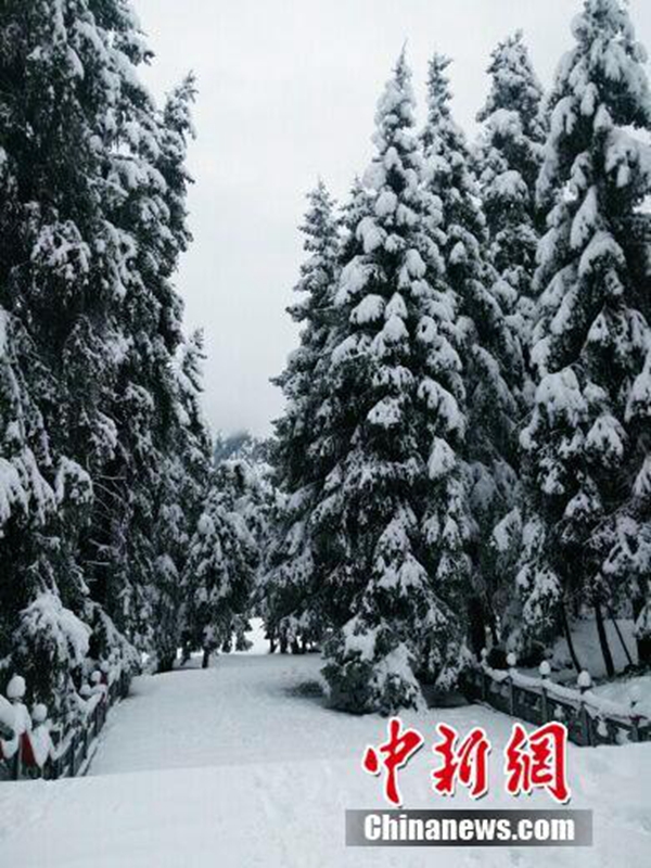 Erster Schneefall 2016 in Xinjiang