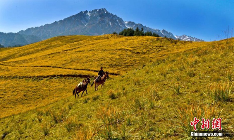 Die Herbstfarben des Qilian-Gebirges