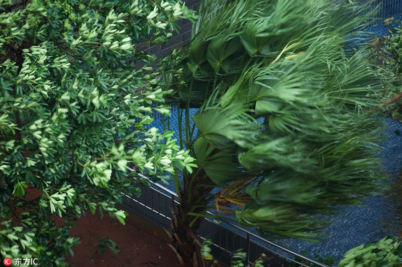 Taifun ?Sarika“ im Anmarsch auf die Provinz Hainan