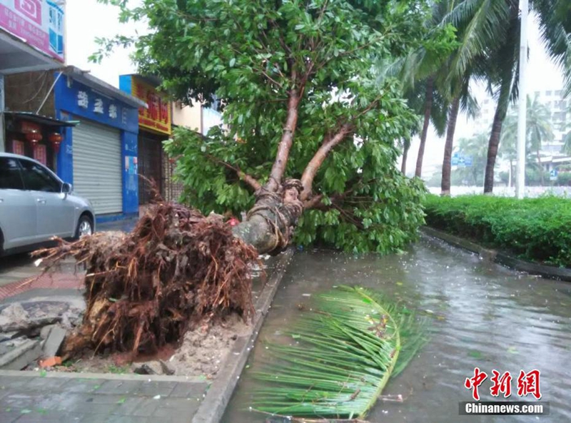 Taifun ?Sarika“ im Anmarsch auf die Provinz Hainan