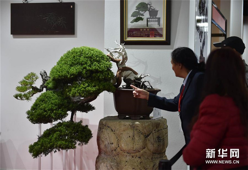 Peking – Chinas Internationale Kulturgegenstandmesse 2016 er?ffnet