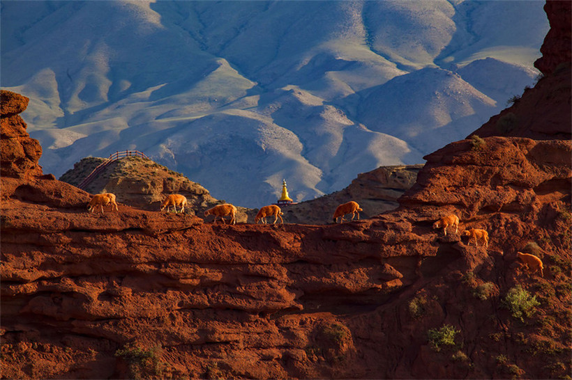 Fotowettbewerb: Ganzhous faszinierende Landschaft