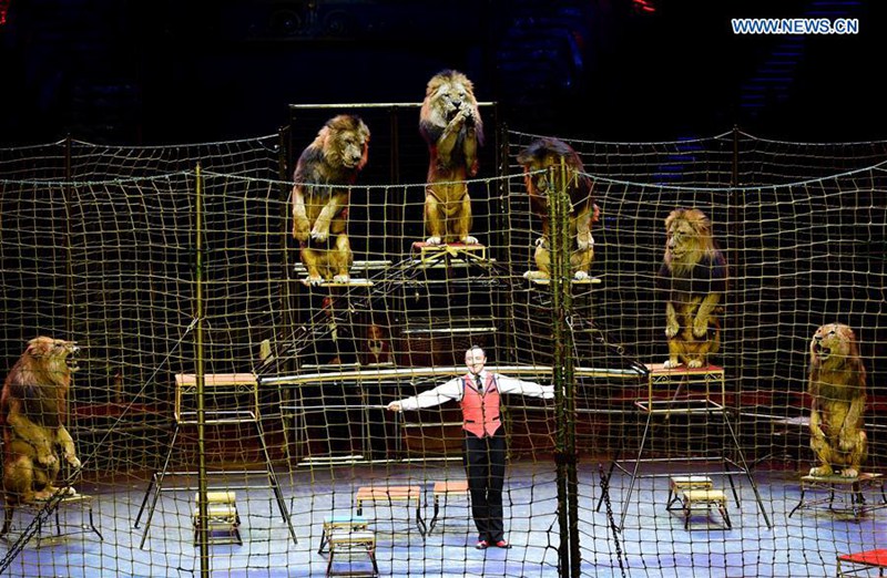 Drittes Internationales Zirkus-Festival in Südchina er?ffnet