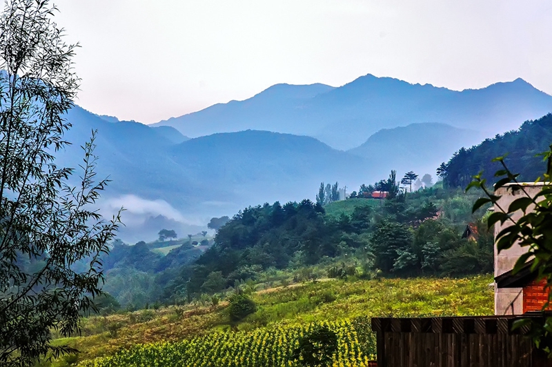 Huangbaiyuan wird als ?die sch?nste Gemeinde Chinas? ausgezeichnet