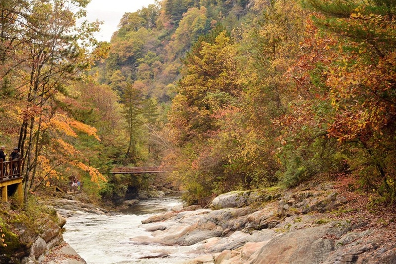 Huangbaiyuan wird als ?die sch?nste Gemeinde Chinas? ausgezeichnet