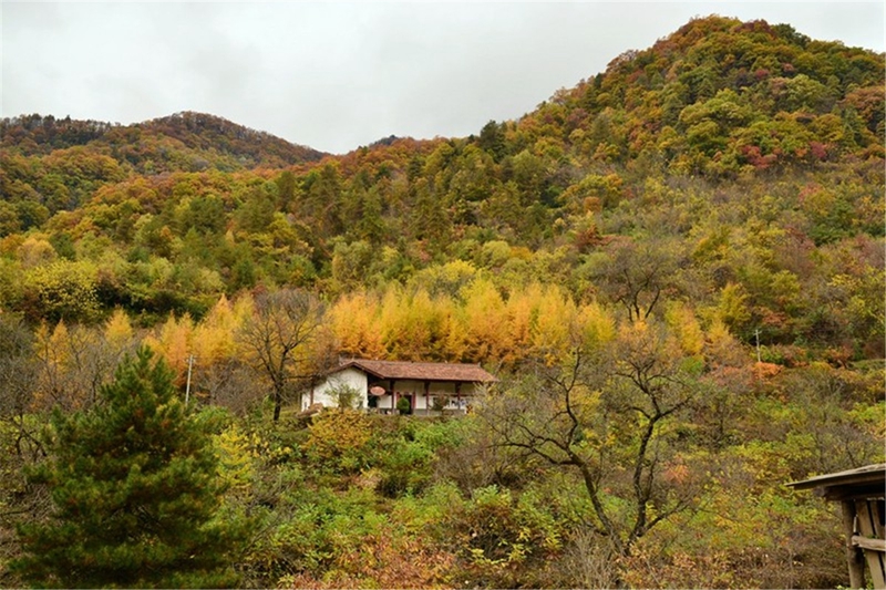 Huangbaiyuan wird als ?die sch?nste Gemeinde Chinas? ausgezeichnet