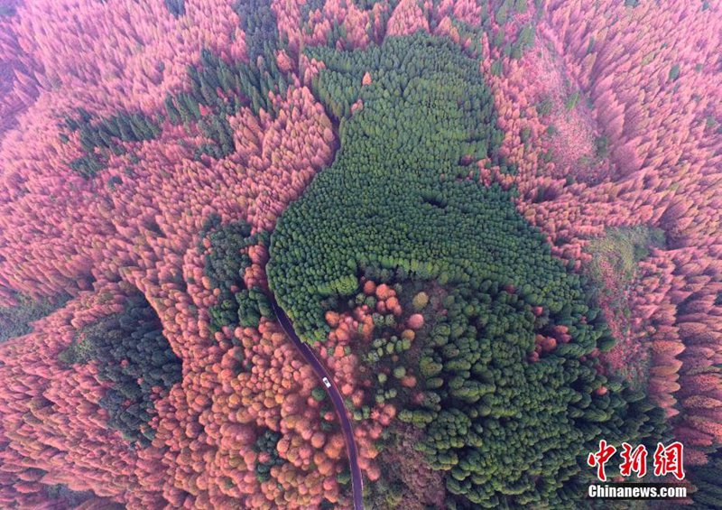 Nationaler ?kologischer Karst-Park aus der Vogelperspektive