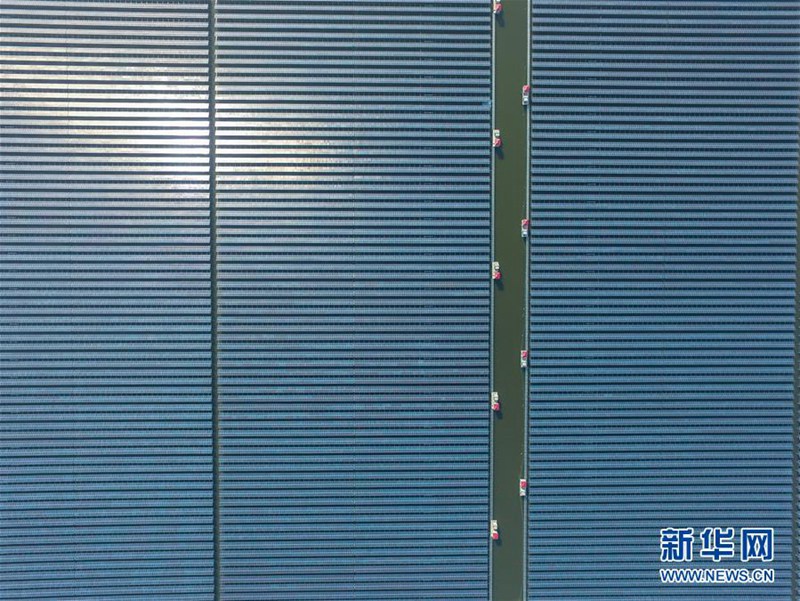 Kombination aus Fischzucht und Solarpark in Cixi