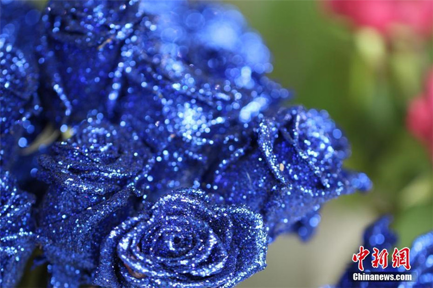 Rosenausstellung in Gansu 