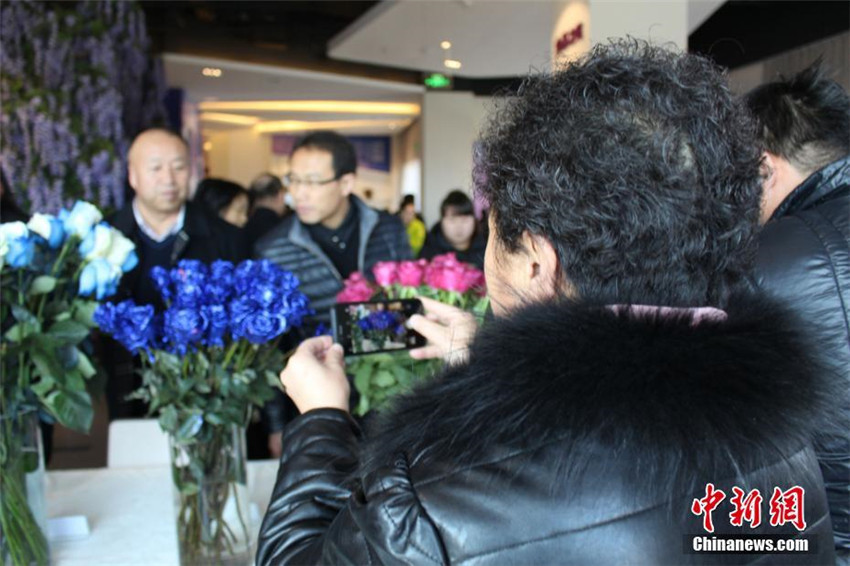 Rosenausstellung in Gansu 