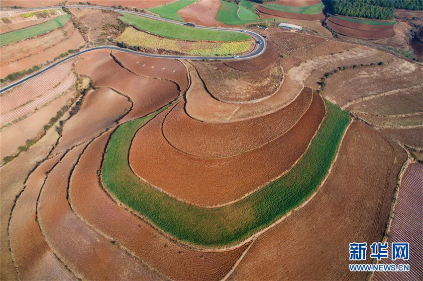 Yunnans ?Rote Erde“