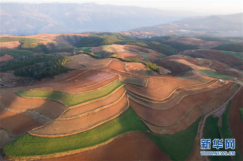 Yunnans ?Rote Erde“