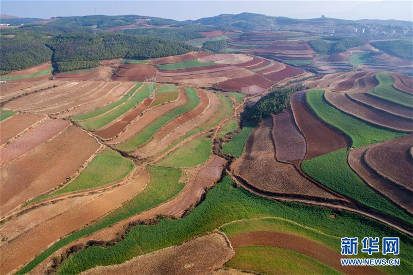 Yunnans ?Rote Erde“