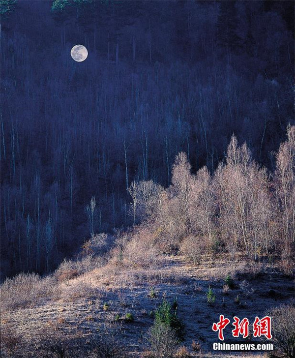 Jiuzhaigou – Chinas Feenland