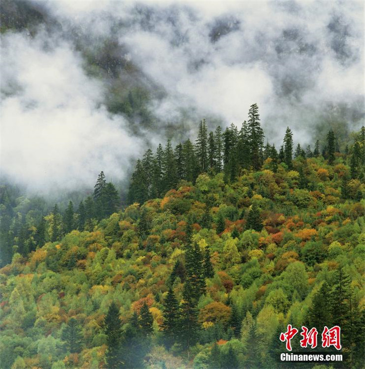 Jiuzhaigou – Chinas Feenland