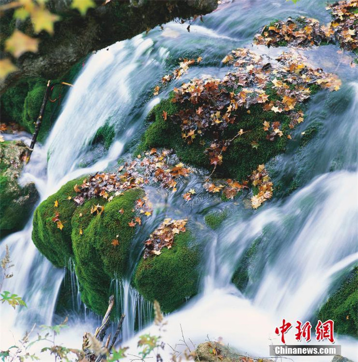 Jiuzhaigou – Chinas Feenland