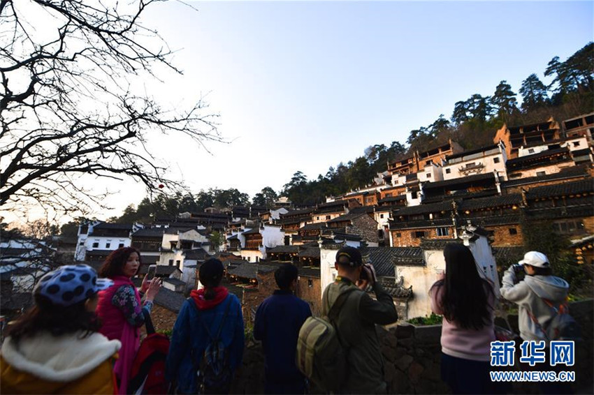 Rapsblüte in Wuyuan
