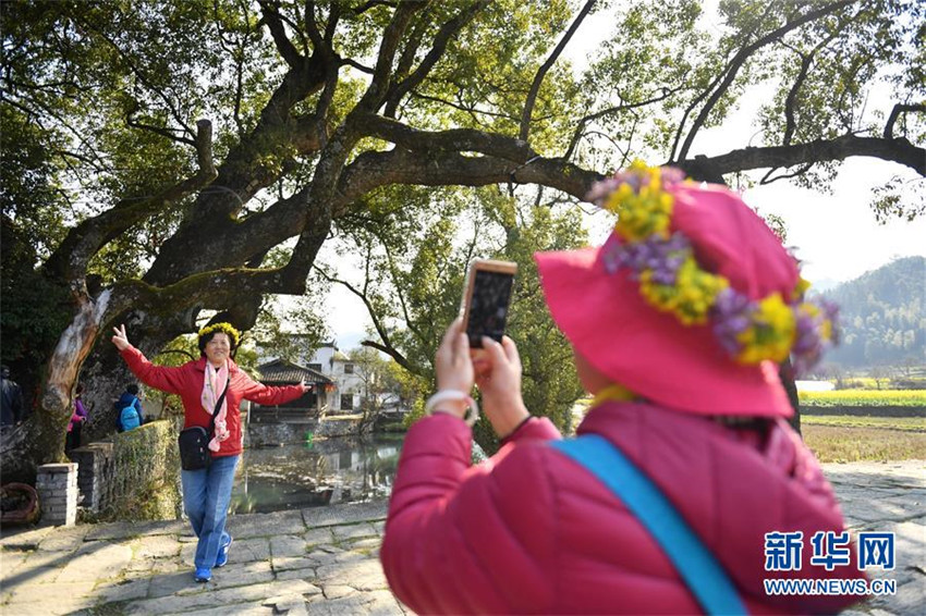 Rapsblüte in Wuyuan