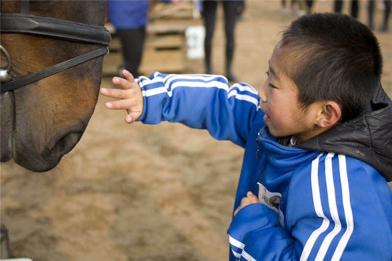 Lasst die ?Sternenkinder“ nicht alleine