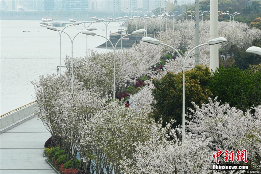 Chinas sch?nster Laufweg am Qiantang-Fluss
