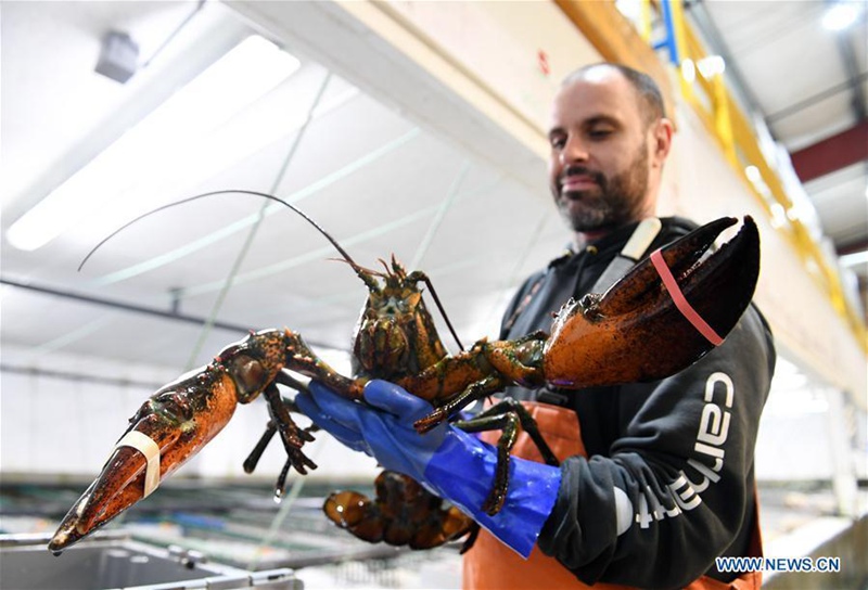 US-Hummer-Exporte nach China steigen