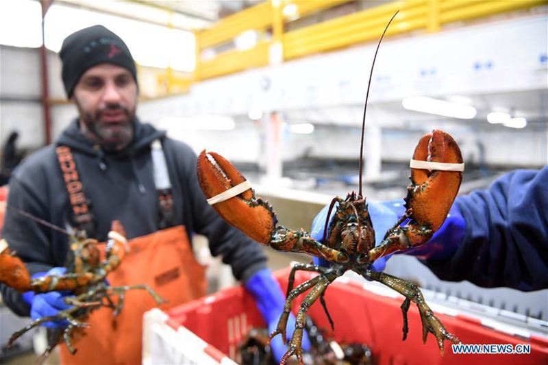 US-Hummer-Exporte nach China steigen